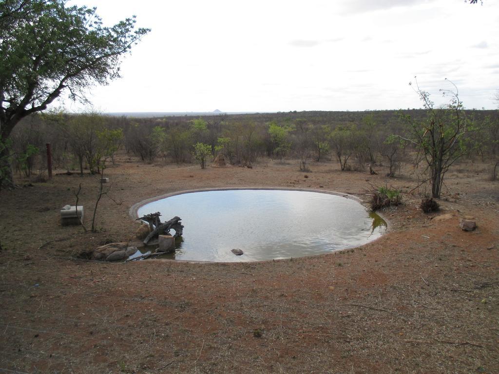 Tingala Lodge - Bed In The Bush Phalaborwa Esterno foto