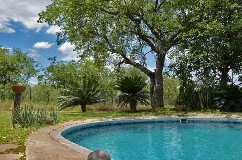 Tingala Lodge - Bed In The Bush Phalaborwa Esterno foto