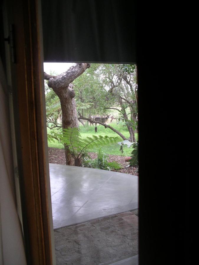 Tingala Lodge - Bed In The Bush Phalaborwa Esterno foto
